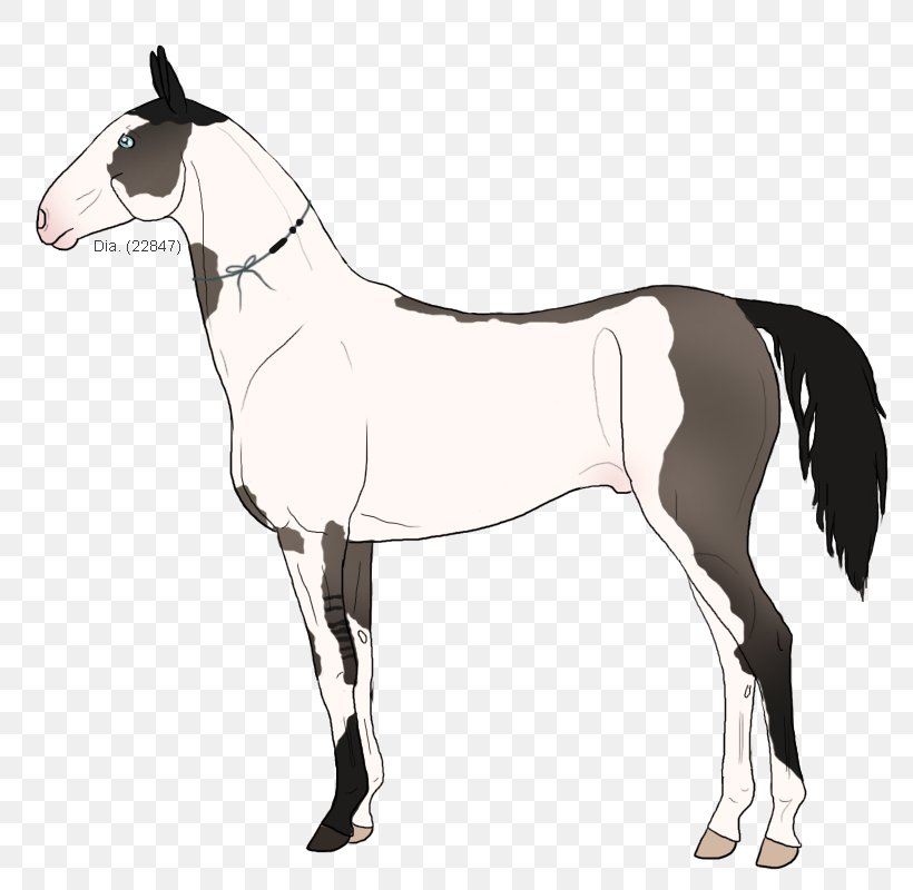 Mule Mustang Stallion Foal Colt, PNG, 800x800px, Mule, Bridle, Colt, Foal, Halter Download Free