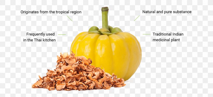 Winter Squash Garcinia Cambogia Vegetarian Cuisine Food Diet, PNG, 1200x546px, Winter Squash, Cucurbita, Diet, Diet Food, Food Download Free