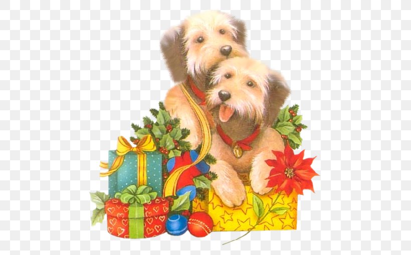 Yorkshire Terrier Norfolk Terrier Schnoodle Puppy Dog Breed, PNG, 500x509px, Yorkshire Terrier, Carnivoran, Christmas, Christmas Ornament, Companion Dog Download Free