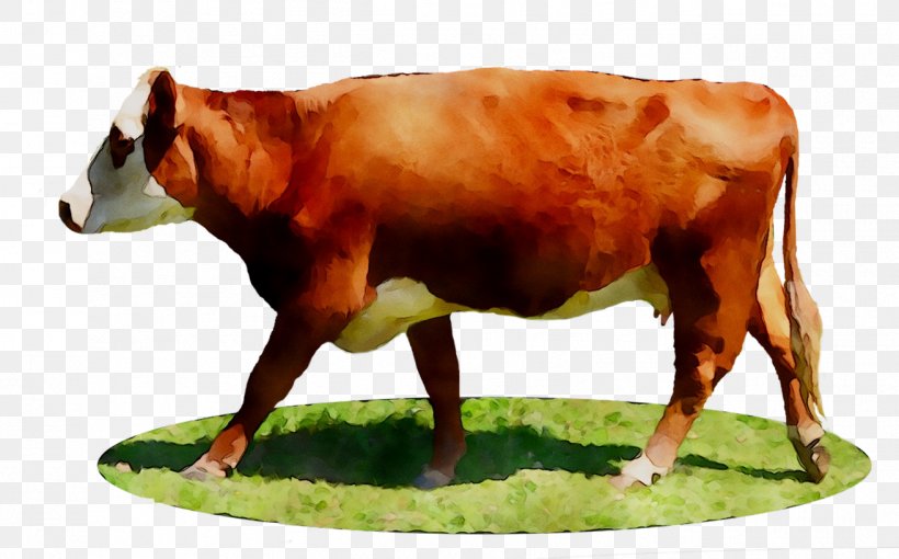 Dairy Cattle Ox Calf, PNG, 1313x817px, Dairy Cattle, Animal Figure, Bovine, Bull, Calf Download Free