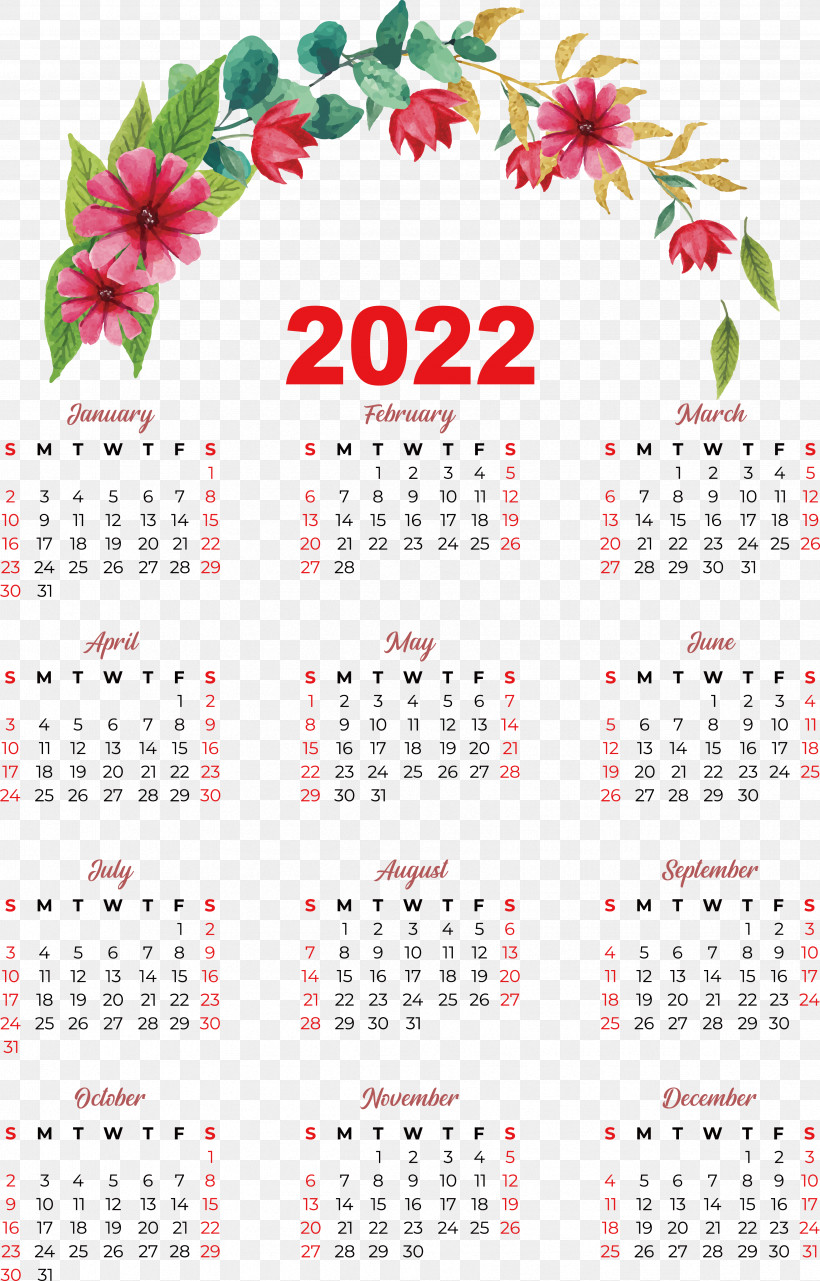 Flower Calendar Font Meter Plant, PNG, 3449x5392px, Flower, Biology, Calendar, Meter, Plant Download Free