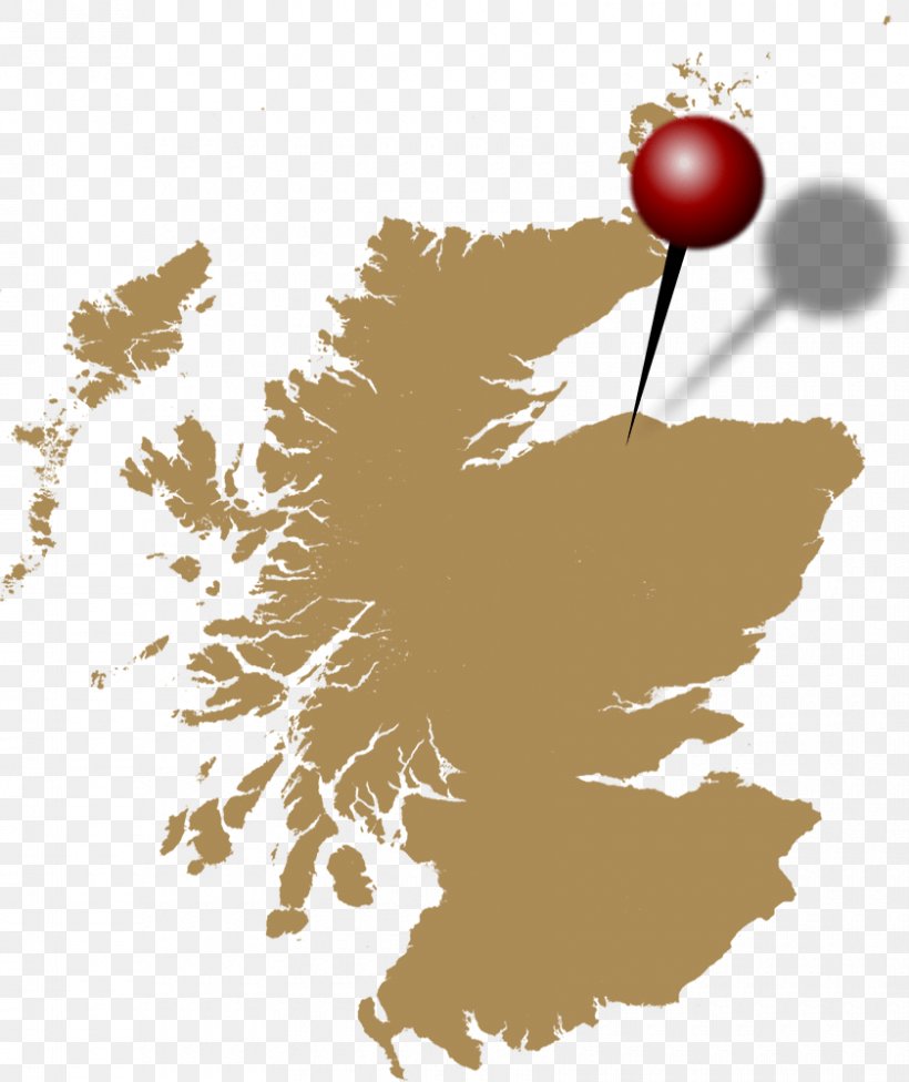 Scottish Highlands Scottish Government Clip Art, PNG, 840x1000px, Scottish Highlands, Branch, Flower, Leaf, Plant Download Free