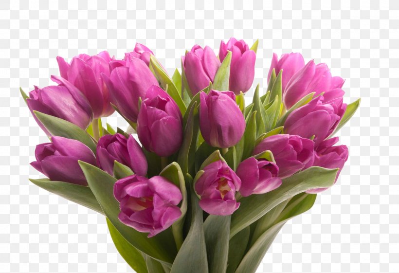 Flower Bouquet Floristry Tulip Gift, PNG, 1600x1095px, Flower Bouquet, Bride, Bud, Crocus, Cut Flowers Download Free