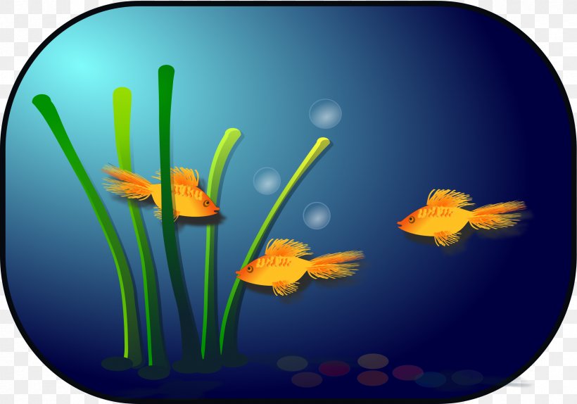 Goldfish Clip Art, PNG, 2400x1680px, Goldfish, Aquarium, Drawing, Fish, Flower Download Free