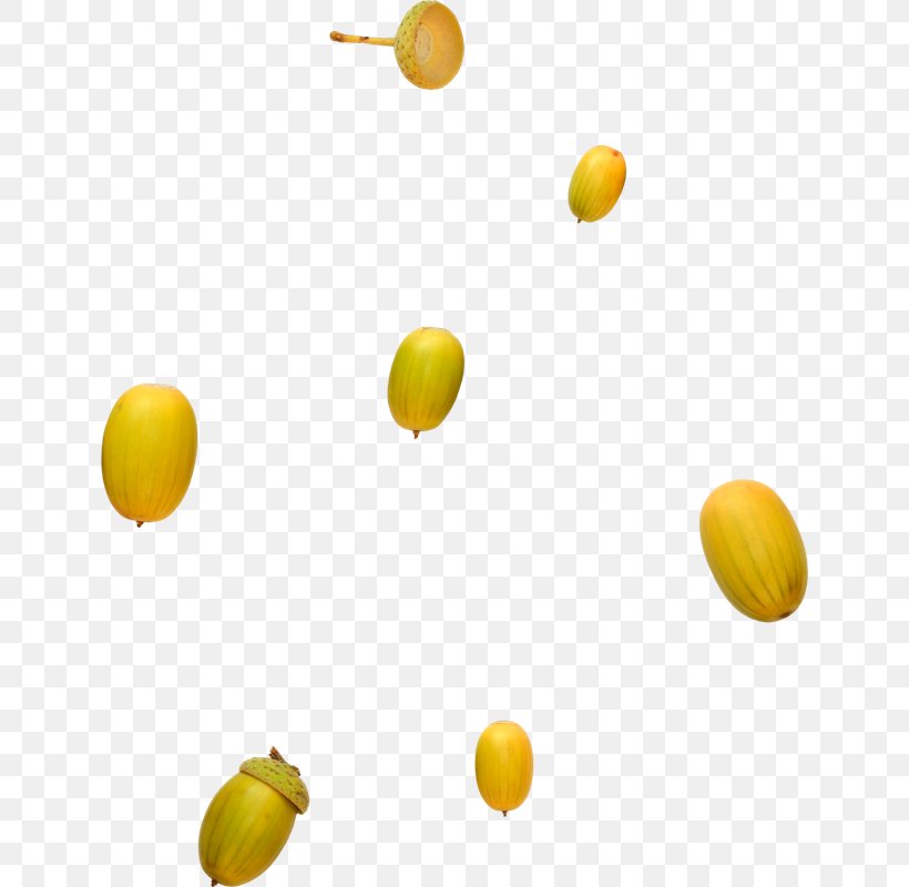 Lemon Orange Fruit, PNG, 638x800px, Lemon, Acorn, Cherry, Citrus, Coconut Download Free