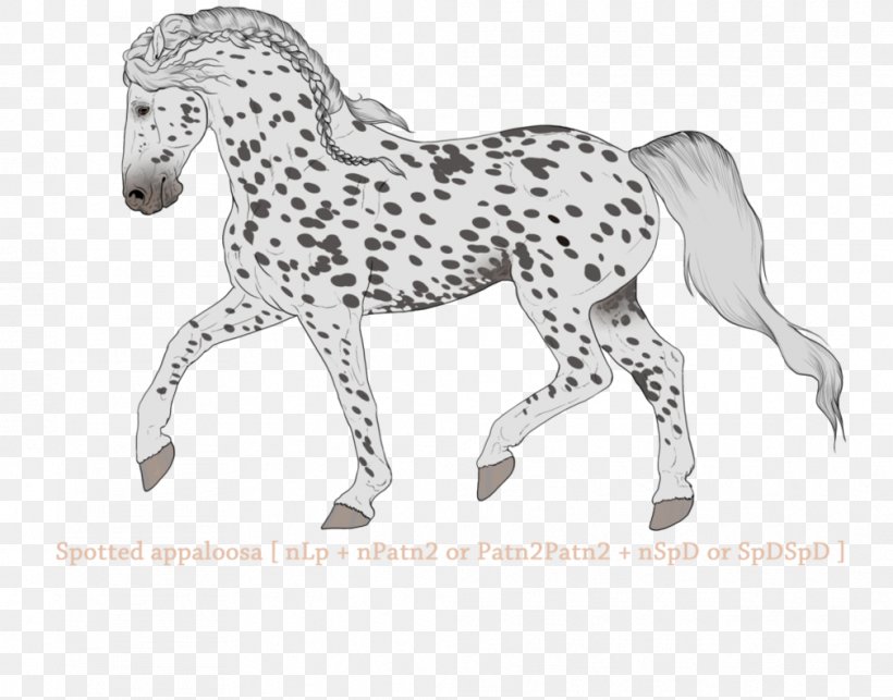 Mane Mustang Stallion Foal Colt, PNG, 1009x792px, Mane, Animal, Animal Figure, Bridle, Colt Download Free