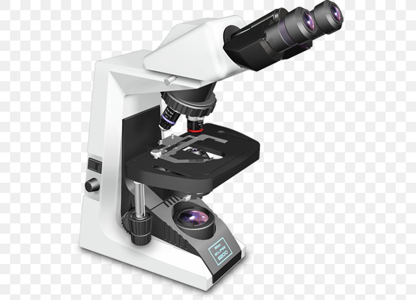 Microscope Nikon Instruments Optics Nikon S-mount, PNG, 534x591px, Microscope, Binoculars, Eclipse, Hardness, Magnification Download Free
