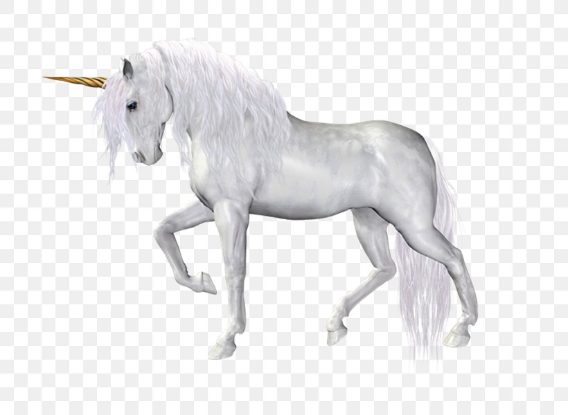 Unicorn Mane Horse, PNG, 800x600px, Unicorn, Animal Figure, Bridle, Fictional Character, Gimp Download Free