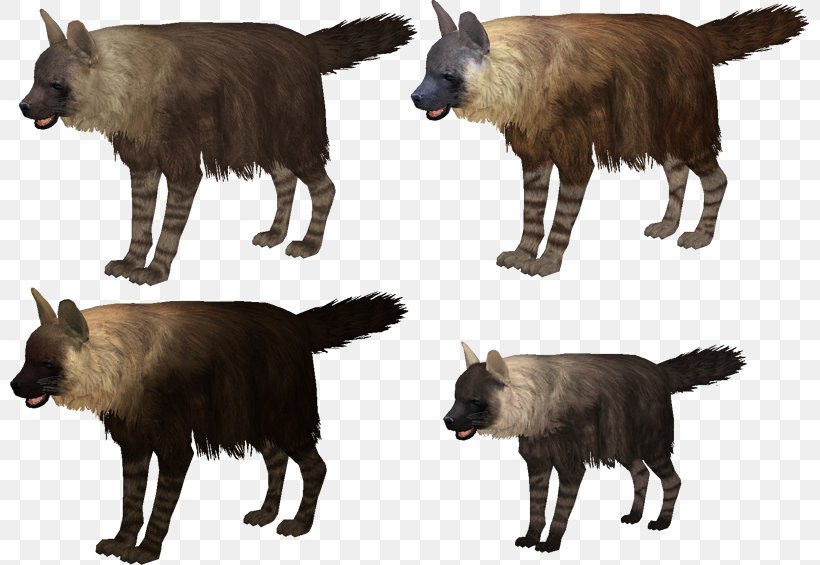 Zoo Tycoon 2: Endangered Species Cat Zoo Tycoon 2: Marine Mania Striped Hyena, PNG, 799x565px, Zoo Tycoon 2 Endangered Species, Animal, Brown Hyena, Carnivora, Carnivoran Download Free