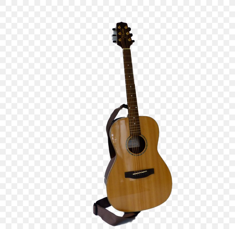 Acoustic Guitar Tiple Bass Guitar Cuatro Cavaquinho, PNG, 599x800px, Watercolor, Cartoon, Flower, Frame, Heart Download Free