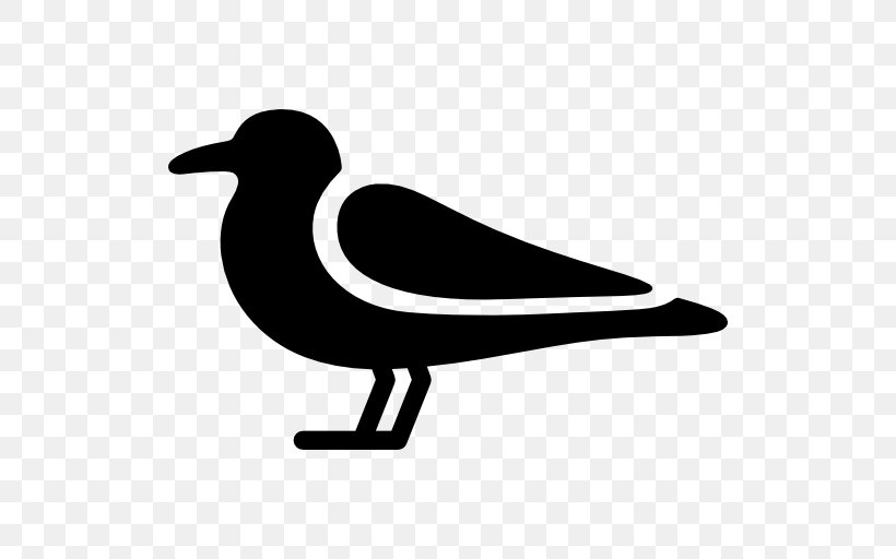 Bird Gulls Clip Art, PNG, 512x512px, Bird, Artwork, Beak, Black And White, Duck Download Free