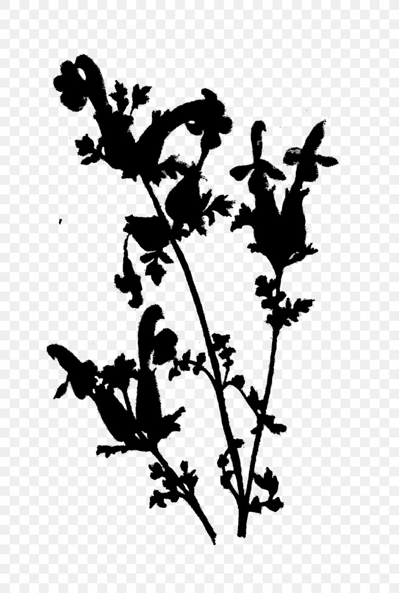 Flower Plant Stem Leaf Clip Art Silhouette, PNG, 1075x1600px, Flower, Blackandwhite, Botany, Branch, Flowering Plant Download Free