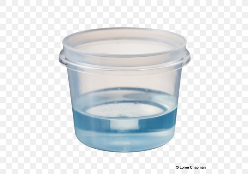 Food Storage Containers Lid Plastic Liquid, PNG, 576x576px, Food Storage Containers, Container, Food, Food Storage, Glass Download Free