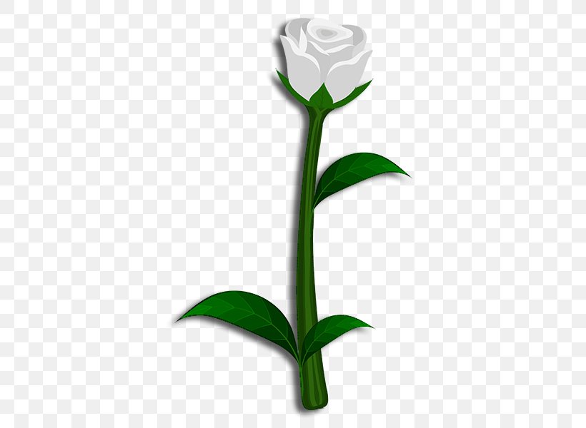 Rose Family Cut Flowers Plant Stem Bud, PNG, 600x600px, Rose Family, Bud, Cut Flowers, Family, Flora Download Free