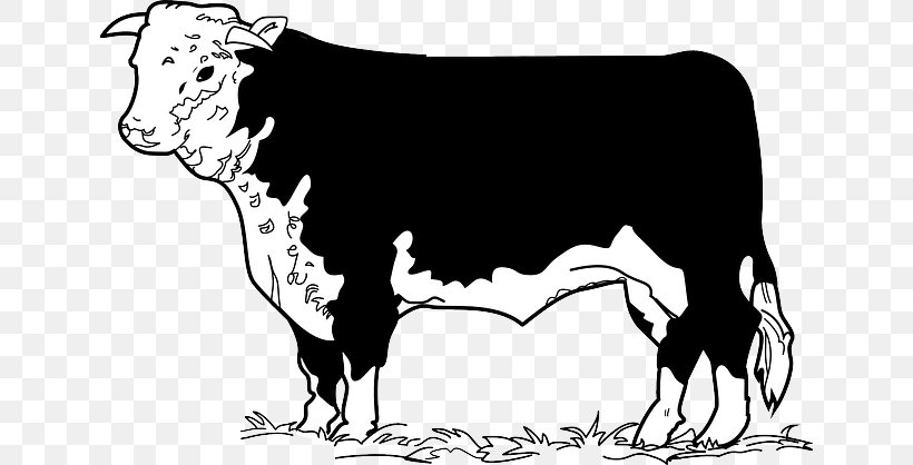 Angus Cattle Beef Cattle English Longhorn Hereford Cattle Texas Longhorn, PNG, 640x418px, Angus Cattle, Art, Beef, Beef Cattle, Beefsteak Download Free