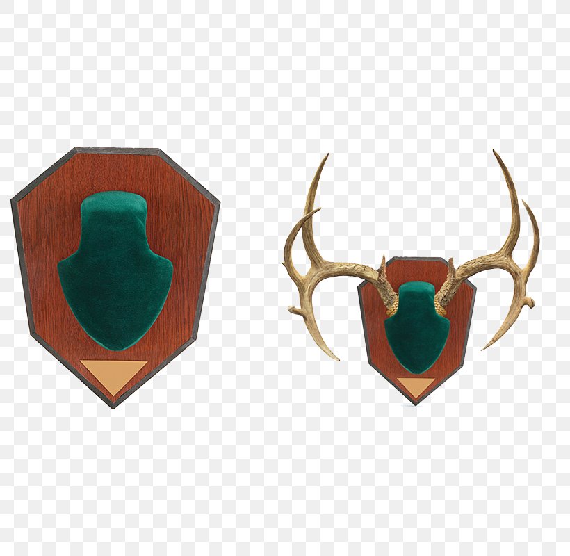 Antler Horn Deer Clothing Accessories Skull Mounts, PNG, 800x800px, Antler, Antelope, Bighorn Sheep, Body Jewelry, Clothing Accessories Download Free