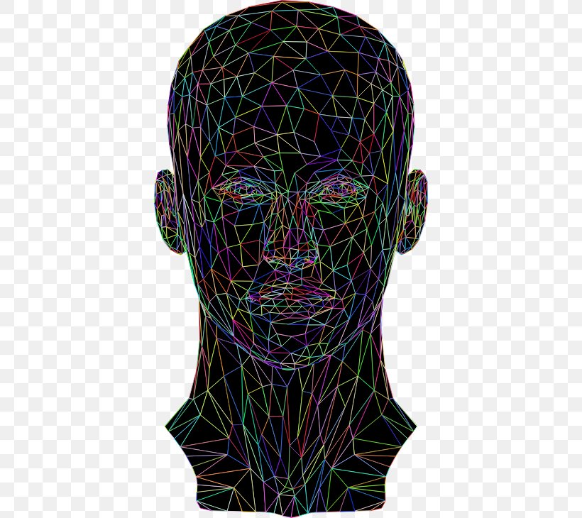 Low Poly Clip Art Website Wireframe Wire-frame Model, PNG, 388x730px, 3d Computer Graphics, Low Poly, Diagram, Head, Polygon Download Free