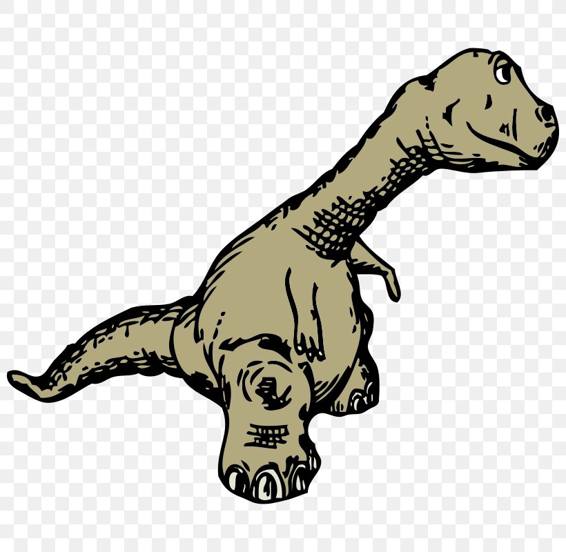 Tyrannosaurus Dinosaur Clip Art, PNG, 800x800px, Tyrannosaurus, Big Cats, Carnivoran, Cartoon, Dinosaur Download Free