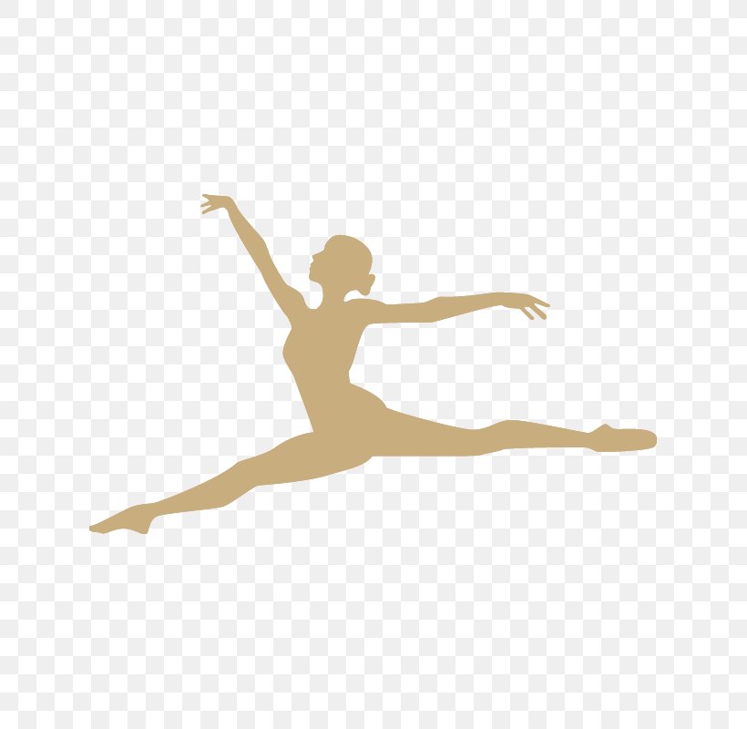 Ballet Dancer Ballet Dancer Pirouette, PNG, 800x800px, Watercolor, Cartoon, Flower, Frame, Heart Download Free