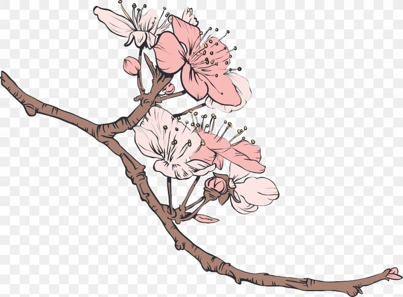 Cherry Blossom Illustration, PNG, 1024x758px, Cherry Blossom, Art, Blossom, Branch, Cherry Download Free