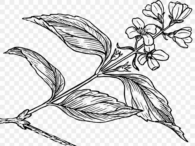 Coloring Book Drawing Flower, PNG, 1280x958px, Coloring Book, Art, Artwork, Beak, Bird Download Free