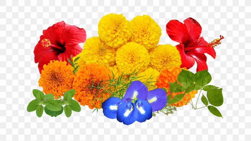 Cut Flowers Floral Design Floristry Flower Bouquet, PNG, 1366x768px, Cut Flowers, Aarti, Annual Plant, Floral Design, Floristry Download Free