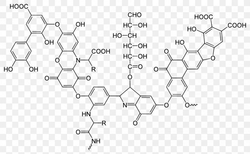 humic acid structure