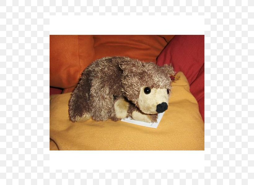 Marsupial Fauna Stuffed Animals & Cuddly Toys Snout, PNG, 800x600px, Marsupial, Fauna, Fur, Plush, Snout Download Free