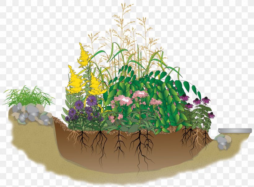 Rain Garden Water Master Gardener Program, PNG, 1270x938px, Rain Garden, Aquarium Decor, Environmental Remediation, Flowerpot, Garden Download Free