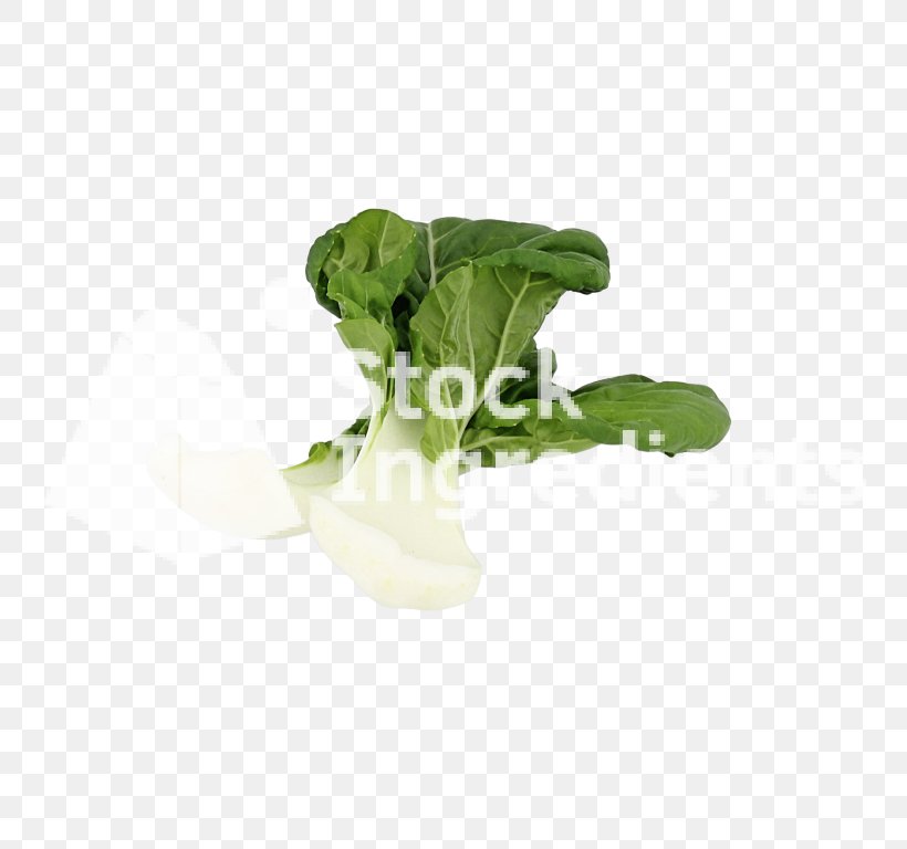 Leaf Vegetable Romaine Lettuce, PNG, 768x768px, Leaf Vegetable, Chard, Flowerpot, Food, Lettuce Download Free