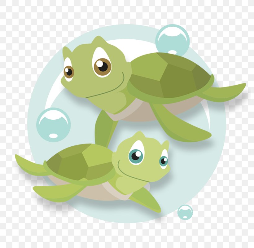 Turtle Character Clip Art, PNG, 800x800px, Turtle, Amphibian, Camellia, Character, Fiction Download Free