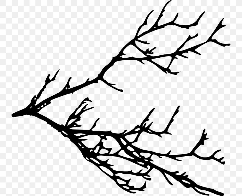 Twig Silhouette Branch Clip Art, PNG, 742x666px, Twig, Beak, Bird, Black And White, Branch Download Free