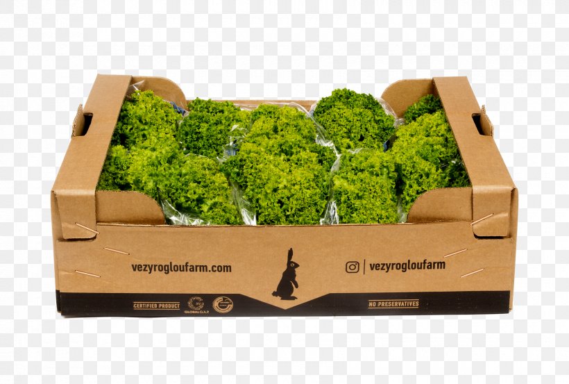 Veziroglou, A., & SIA E.E. Red Leaf Lettuce Leaf Vegetable, PNG, 1700x1148px, Veziroglou A Sia Ee, Box, Brand Strategist, Farm, Grass Download Free