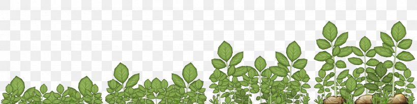 Wheatgrass Plant Stem Leaf Commodity Flower, PNG, 2048x512px, Wheatgrass, Commodity, Crop, Field, Flower Download Free
