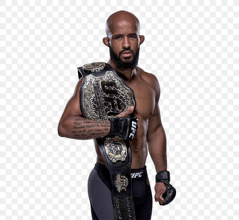 Demetrious Johnson Ultimate Fighting Championship The Ultimate Fighter Flyweight Mixed Martial Arts, PNG, 504x755px, Watercolor, Cartoon, Flower, Frame, Heart Download Free