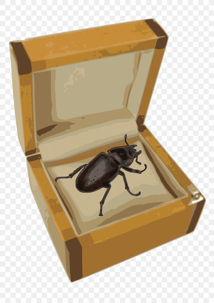 Volkswagen Beetle Box Clip Art, PNG, 1697x2400px, Volkswagen Beetle, Beetle, Box, Cardinal Beetle, Insect Download Free