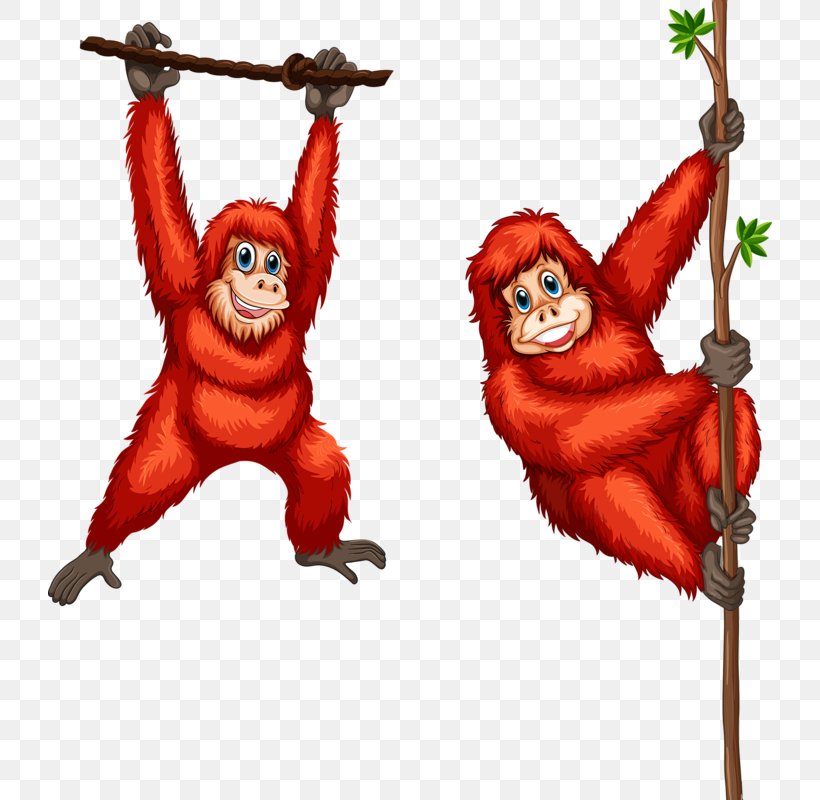 Orangutan Royalty-free Illustration, PNG, 724x800px, Orangutan, Art, Cartoon, Drawing, Fictional Character Download Free