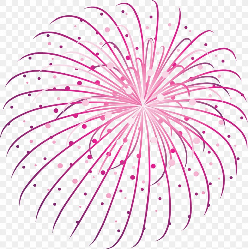 Clip Art Fireworks Desktop Wallpaper Image, PNG, 901x907px, Fireworks, Adobe Fireworks, Blackandwhite, Botany, Firecracker Download Free