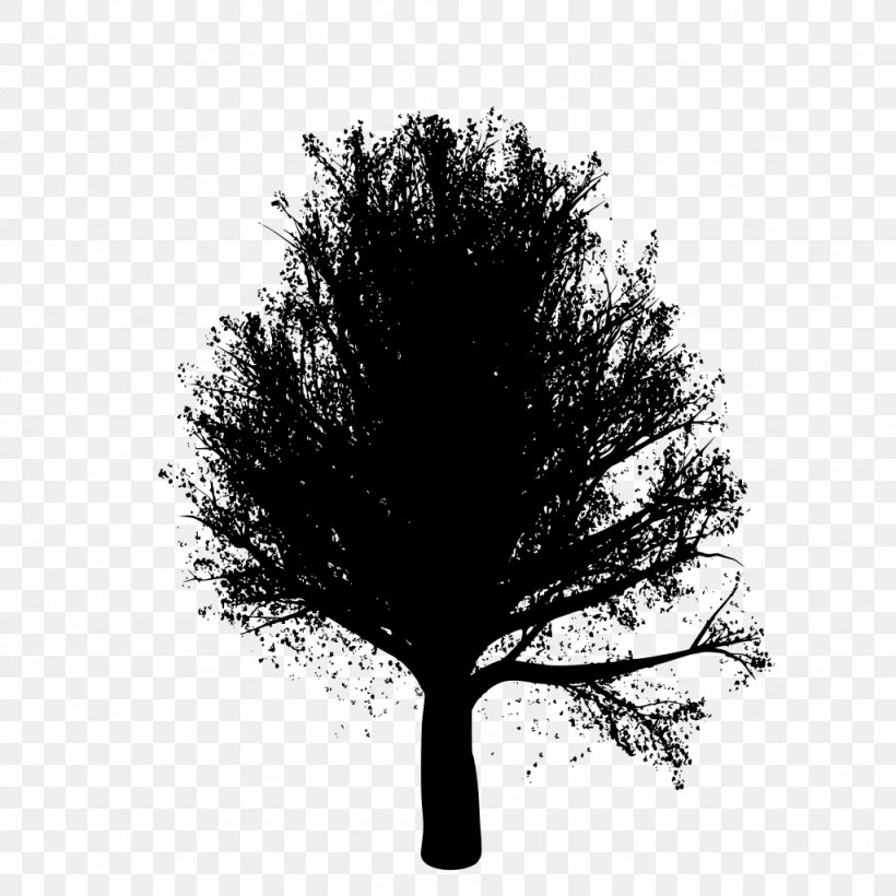 Oak Tree Silhouette, PNG, 1024x1024px, Tree, Black, Blackandwhite, Blog, Branch Download Free