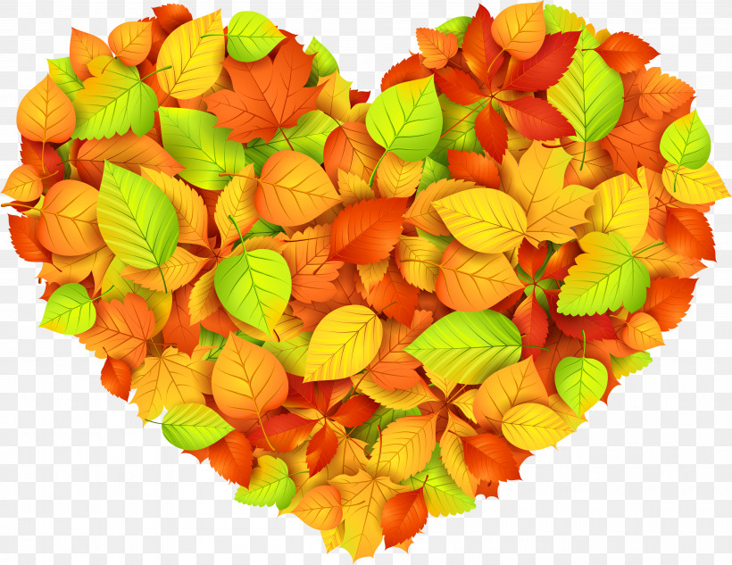 Orange, PNG, 4000x3090px, Orange, Candy, Confectionery, Cut Flowers, Food Download Free