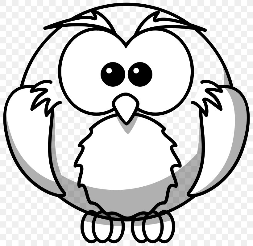 Owl Drawing Bird Clip Art, PNG, 800x800px, Watercolor, Cartoon, Flower, Frame, Heart Download Free