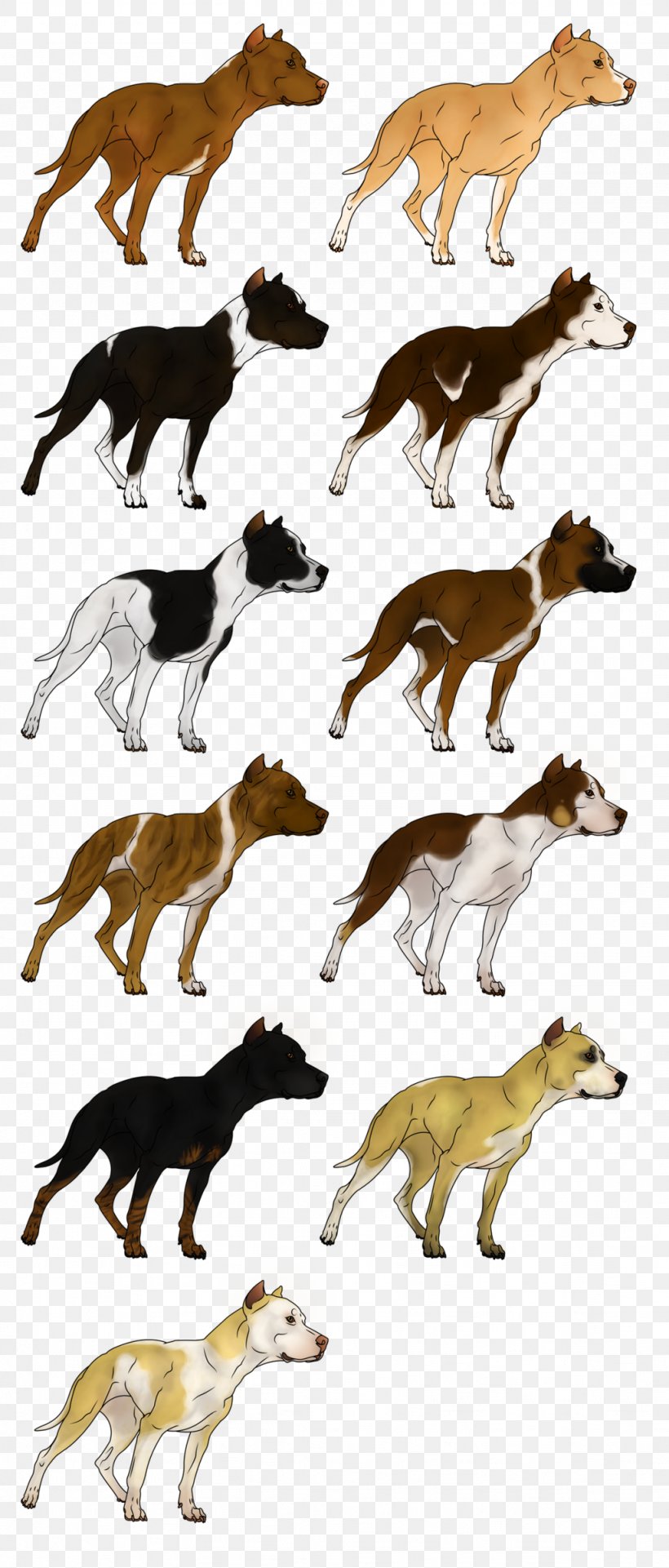 American Pit Bull Terrier American Bulldog Game, PNG, 1024x2400px, American Pit Bull Terrier, American Bulldog, American Dog Breeders Association, Animal, Animal Figure Download Free