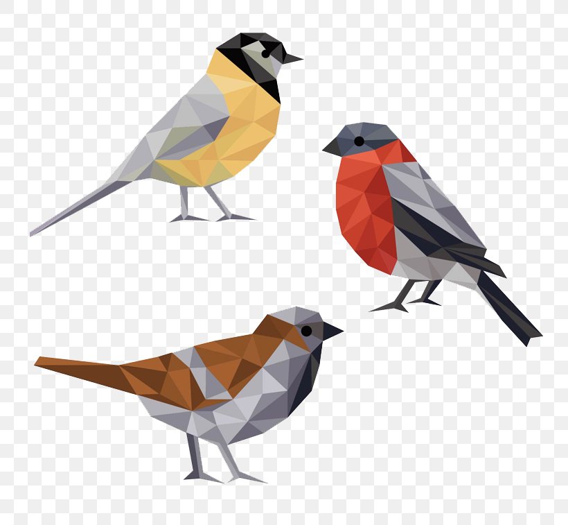 Bird Parrot Bebop 2 Polygon Euclidean Vector, PNG, 800x757px, Bird, Beak, European Robin, Face, Fauna Download Free