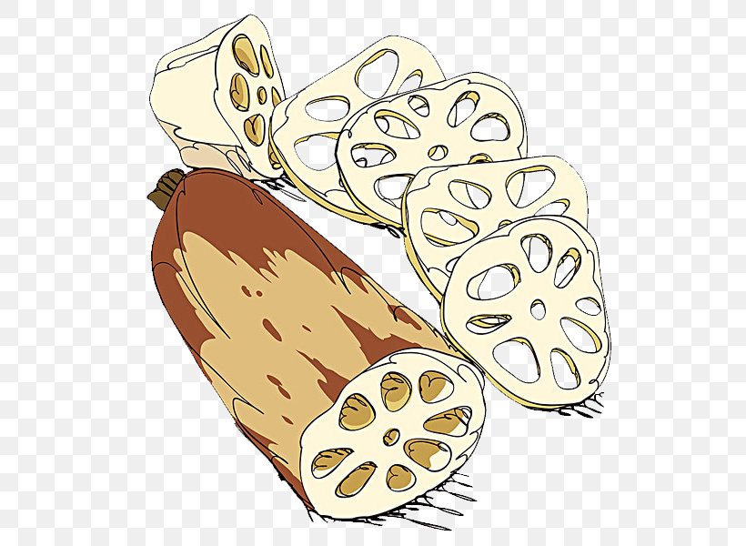 Lotus Root Cartoon Illustration, PNG, 600x600px, Lotus Root, Art, Cartoon, Commodity, Drawing Download Free