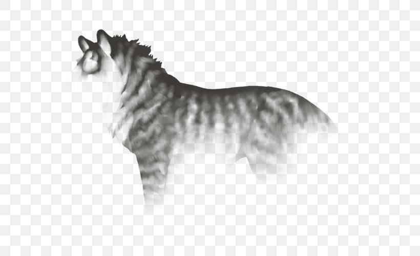 Whiskers Tiger Cat Dog Breed Horse, PNG, 640x500px, Whiskers, Big Cat, Big Cats, Black And White, Carnivoran Download Free
