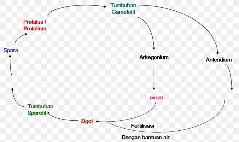 Avian Influenza Disease Virus, PNG, 1266x752px, Avian Influenza, Area, Biology, Bird, Daur People Download Free