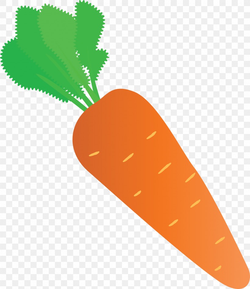 Carrot, PNG, 2591x3000px, Carrot, Geometry, Line, Mathematics, Meter Download Free