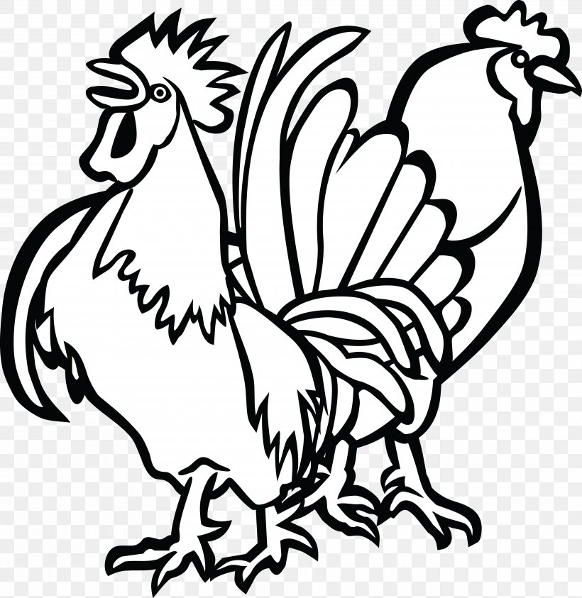 Cochin Chicken Houdan Chicken Hamburg Chicken Andalusian Chicken Rooster, PNG, 4000x4117px, Cochin Chicken, Andalusian Chicken, Art, Artwork, Beak Download Free
