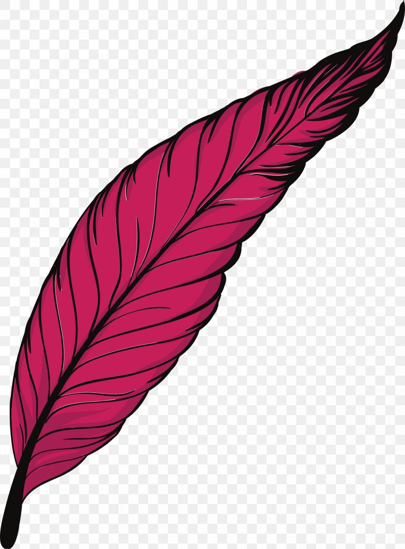 Feather Bird, PNG, 1416x1920px, Feather, Bird, Bulu Monster, Leaf, Magenta Download Free