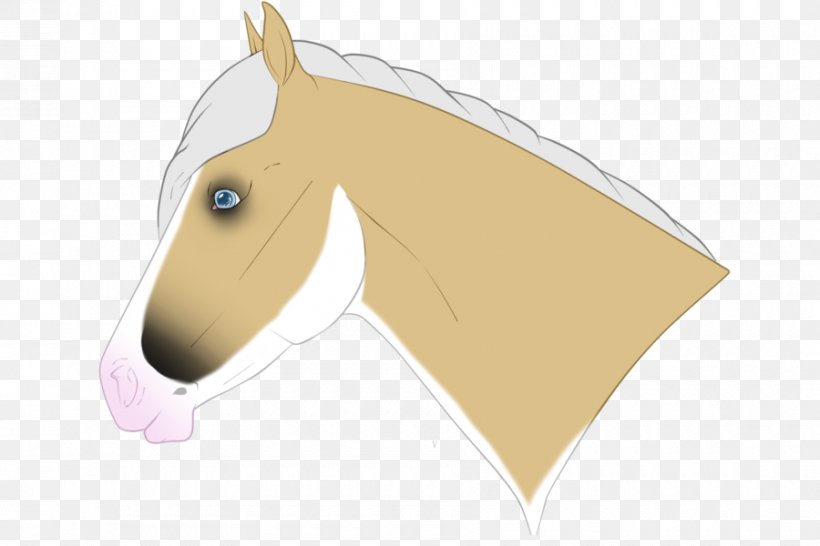 Pony Mustang Halter Mane Rein, PNG, 900x600px, Pony, Animal, Fictional Character, Halter, Head Download Free